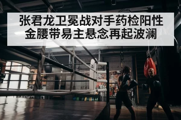 boxer training