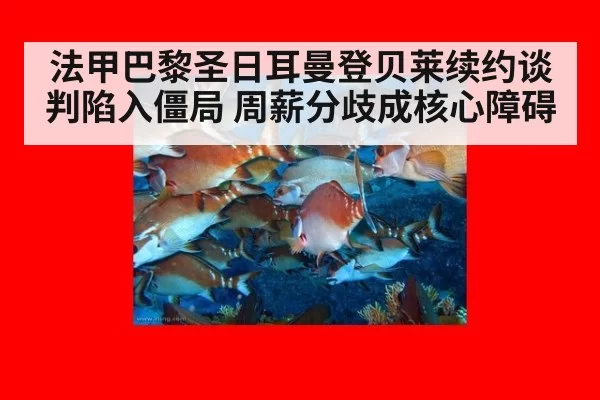 法甲巴黎圣日耳曼登贝莱续约谈判陷入僵局 周薪分歧成核心障碍